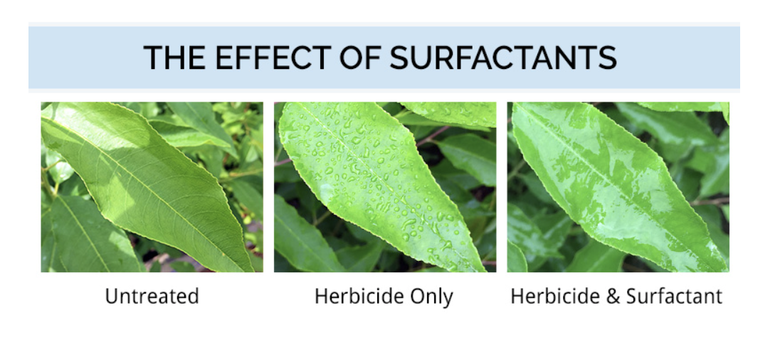 Everything You Need To Know about Surfactant for Herbicides